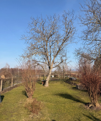 Prodej Rodinný dům 2+1, Kolíčín